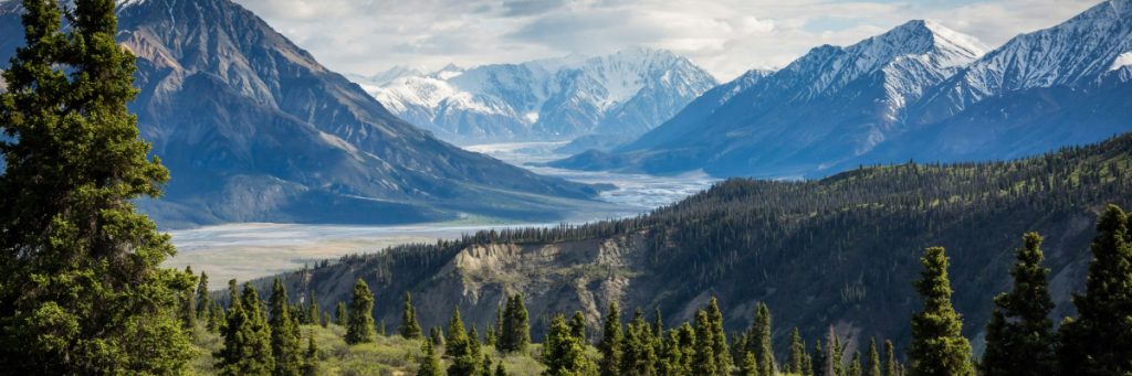 who-we-are Who We Are 1024x341 1